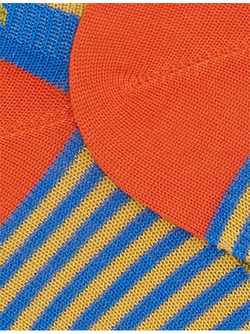 AP50238230901 FANTASIA gallo | AP50238230901 FANTASIA